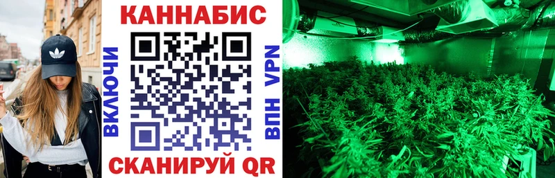 MEGA как зайти  Кадников  МАРИХУАНА Amnesia  закладки 
